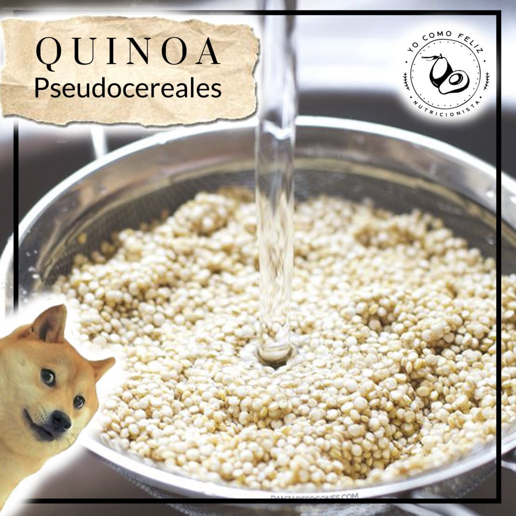 QUINOA - Pseudocereal