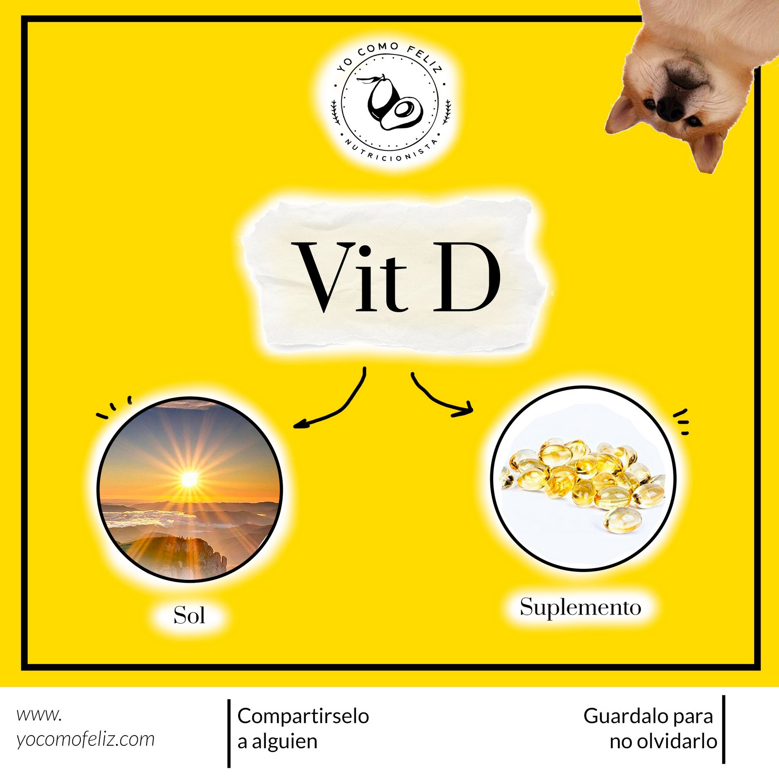 Vitamina D