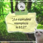 La espirulina no reemplaza la vitamina B12