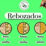 Rebozados