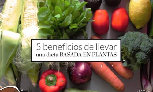 5 Beneficios de llevar una dieta basada en plantas