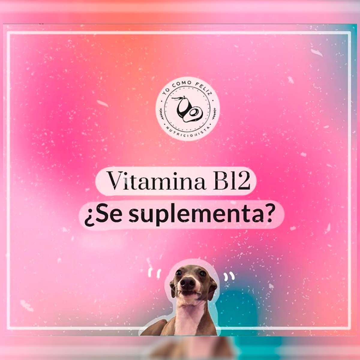 Vitamina B12 ¿Se suplementa?