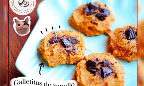 Galletitas de zapallo veganas sin tacc