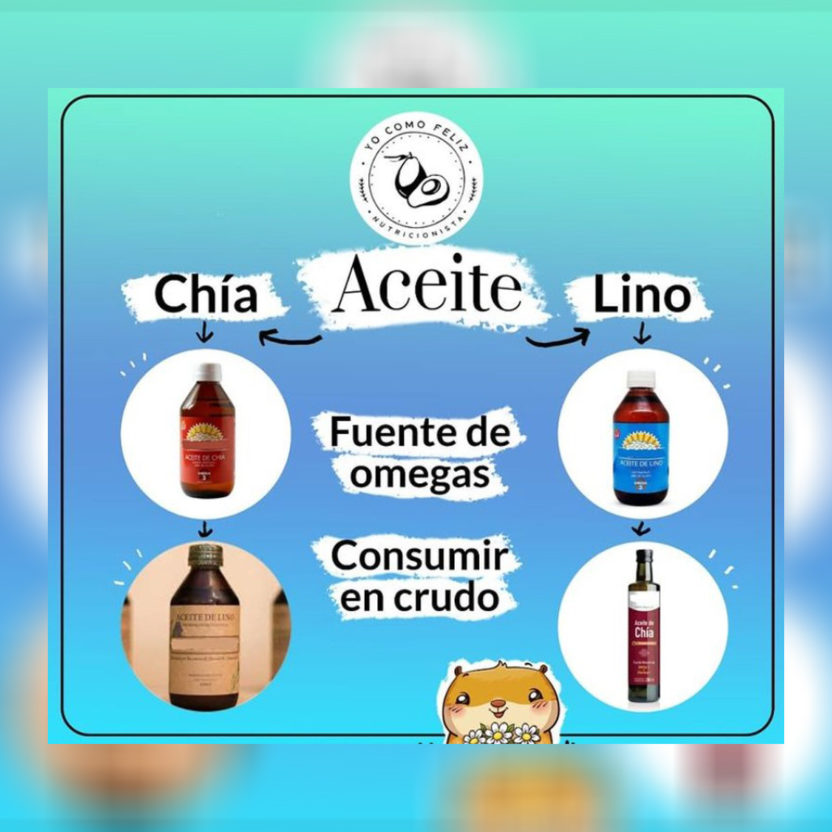Aceite de Chía y de Lino