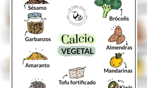 Calcio Vegetal