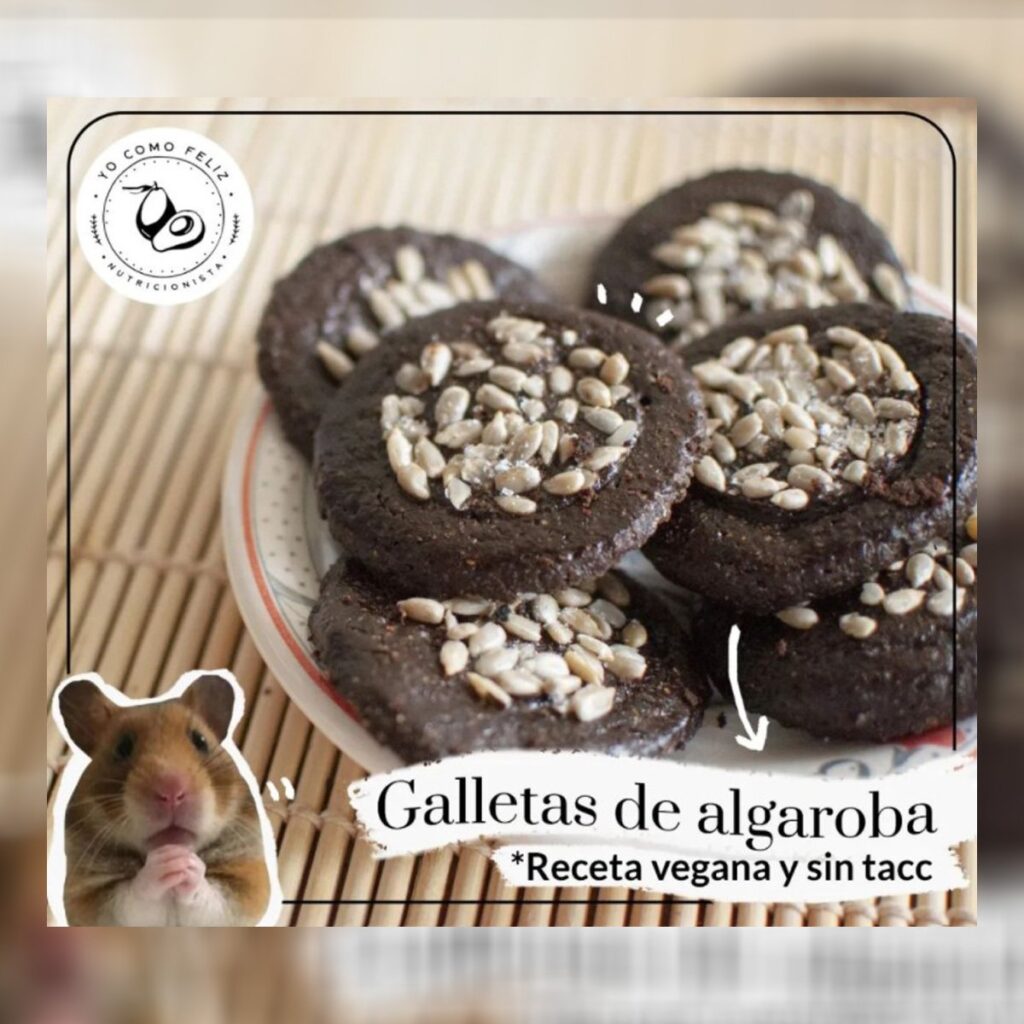 Galletas de Algarroba veganas sin tacc