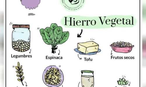 Hierro Vegetal