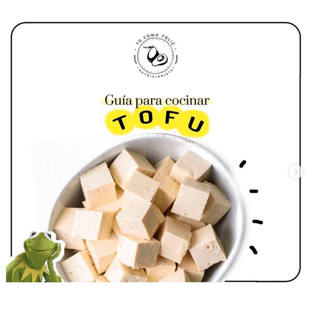 Guía para cocinar Tofu