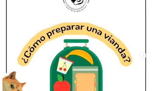 ¿Cómo preparar una vianda?