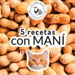 5 recetas con maní