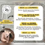 Ideas de comidas salvadoras