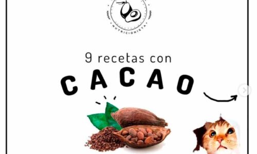 Recetas con cacao