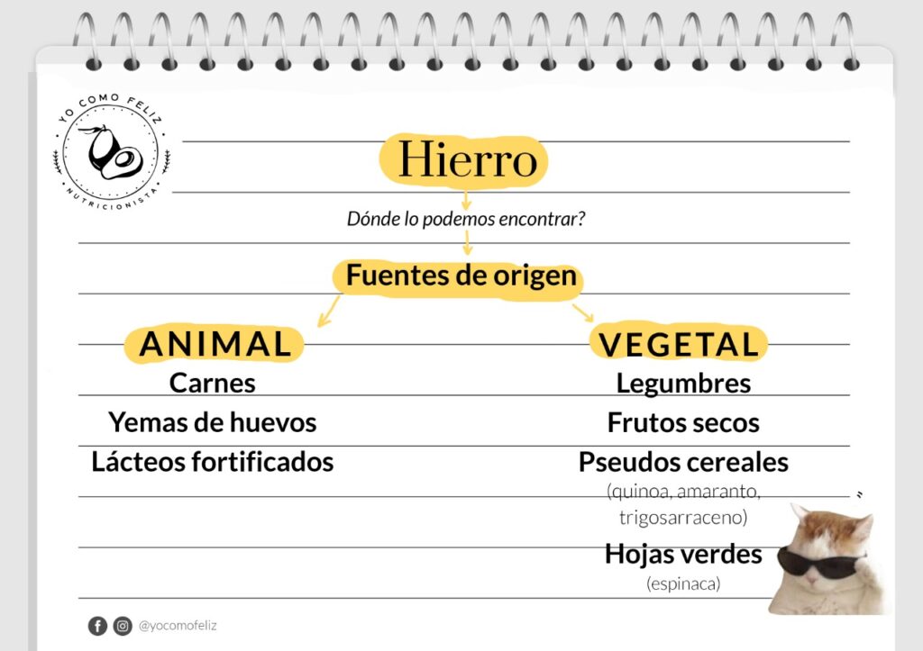 Hierro Vegetal