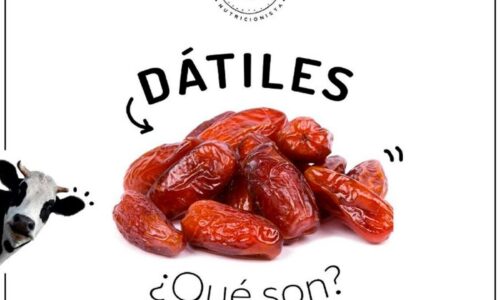 Dátiles