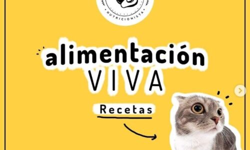 alimentacion viva