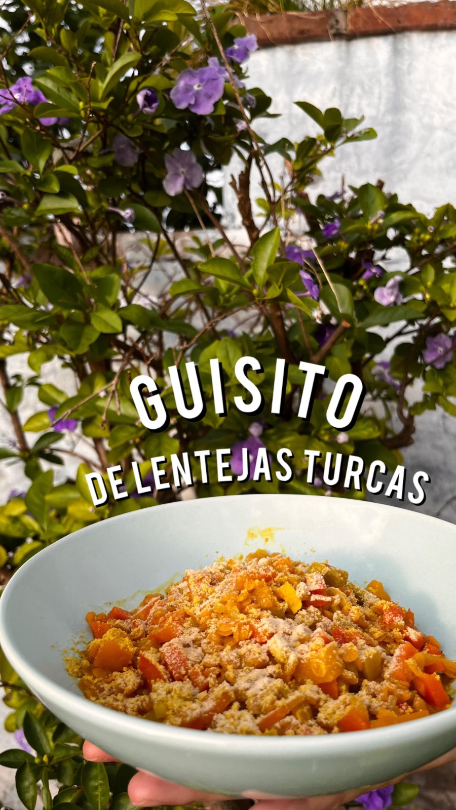 guisito de lentejas turcas