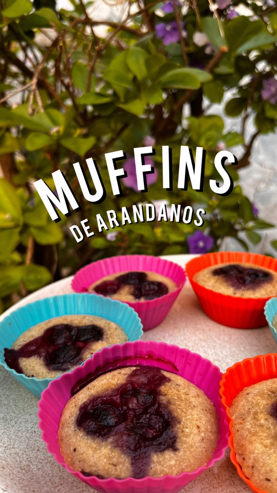 muffins de arandanos