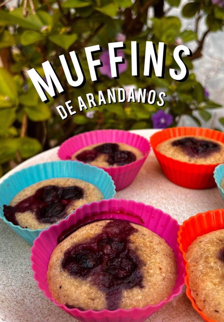 muffins de arandanos