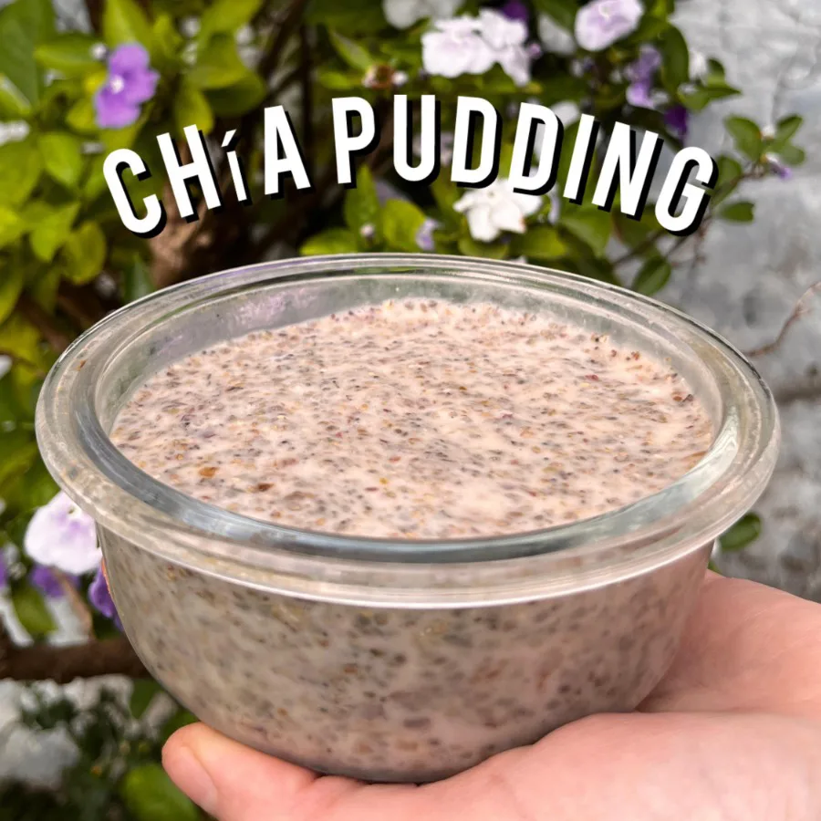 chia pudding 2