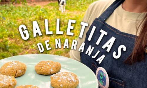 Galletitas de naranja